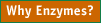  Enzyme Index 